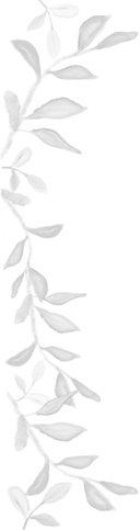 FOOTER BACKGROUND IMAGE LEFT