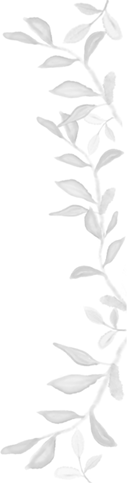 FOOTER BACKGROUND IMAGE RIGHT